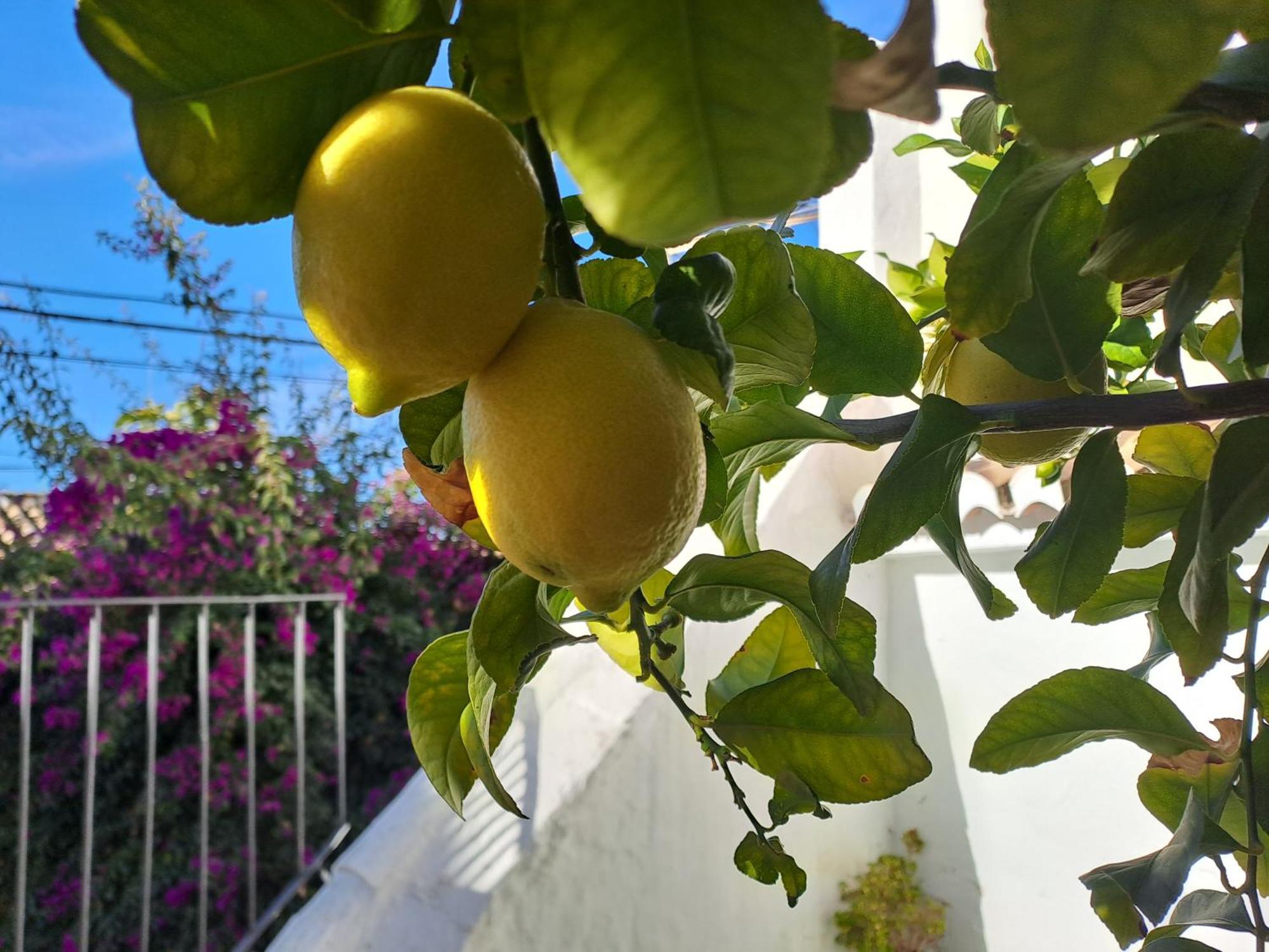 Casa Alhambra - Centro Historico Con Jardin Privado Leilighet Granada Eksteriør bilde