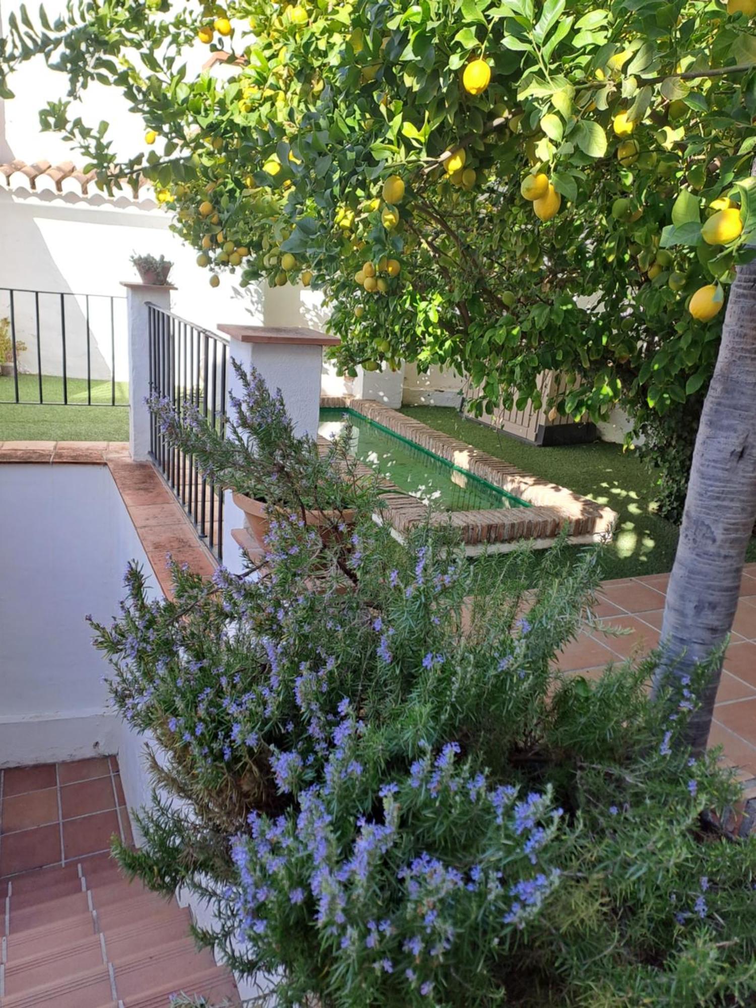 Casa Alhambra - Centro Historico Con Jardin Privado Leilighet Granada Eksteriør bilde