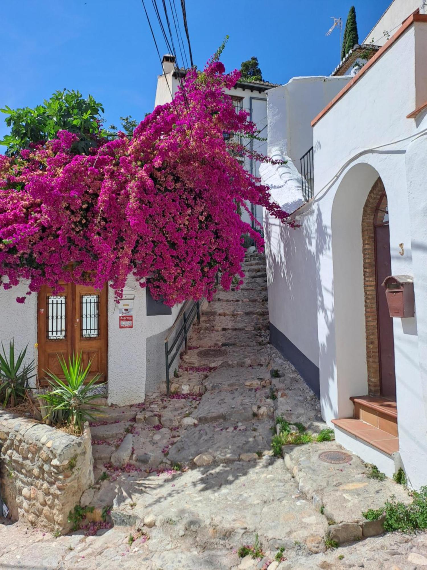 Casa Alhambra - Centro Historico Con Jardin Privado Leilighet Granada Eksteriør bilde