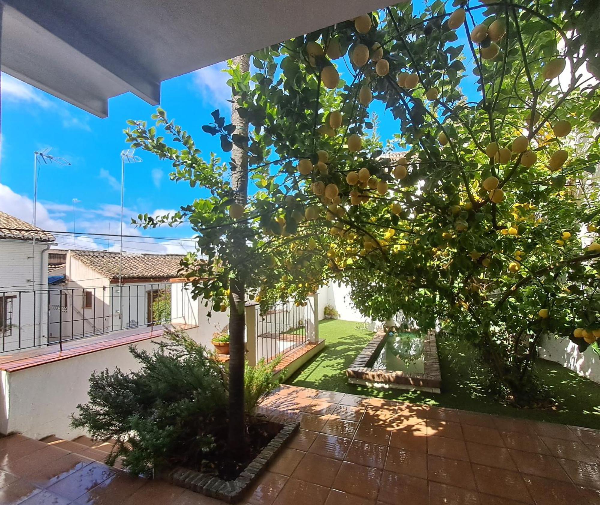 Casa Alhambra - Centro Historico Con Jardin Privado Leilighet Granada Eksteriør bilde